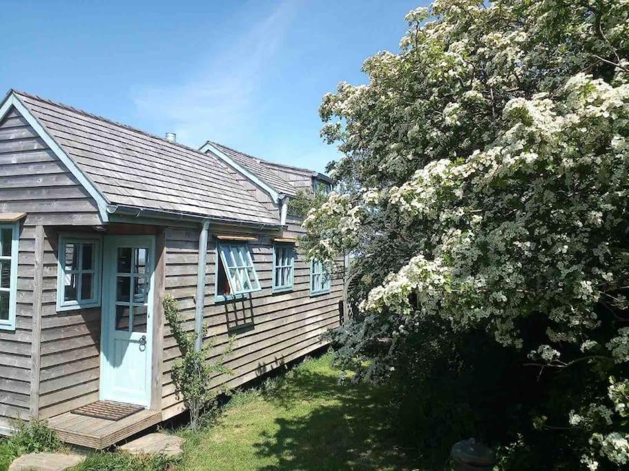 Tiny House On Isolated Farm By The Cornish Coast Villa Bude Buitenkant foto