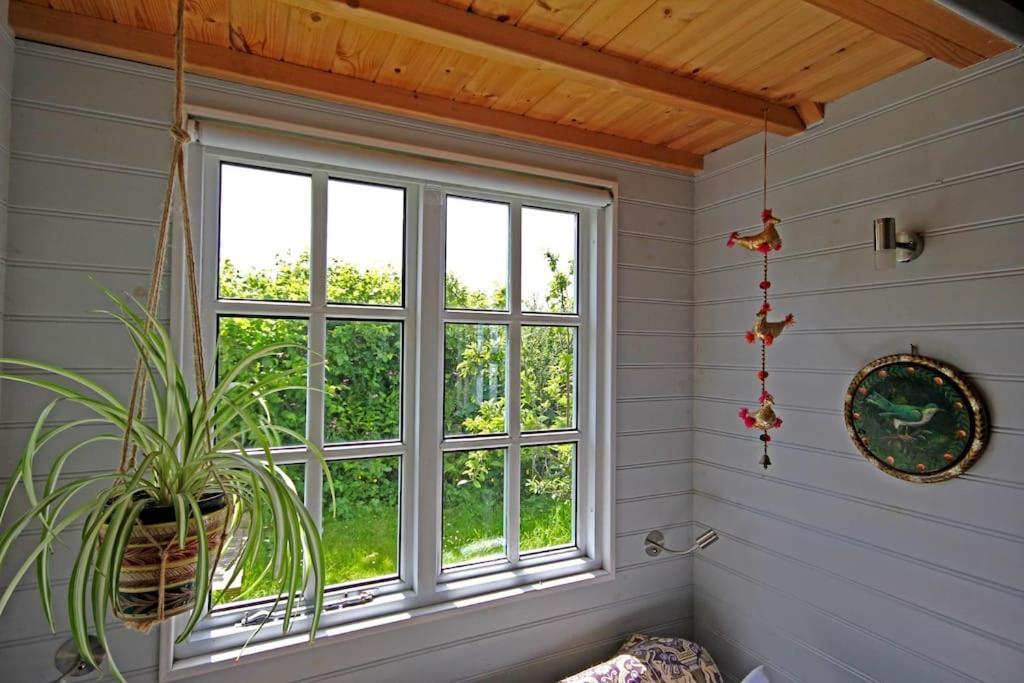 Tiny House On Isolated Farm By The Cornish Coast Villa Bude Buitenkant foto