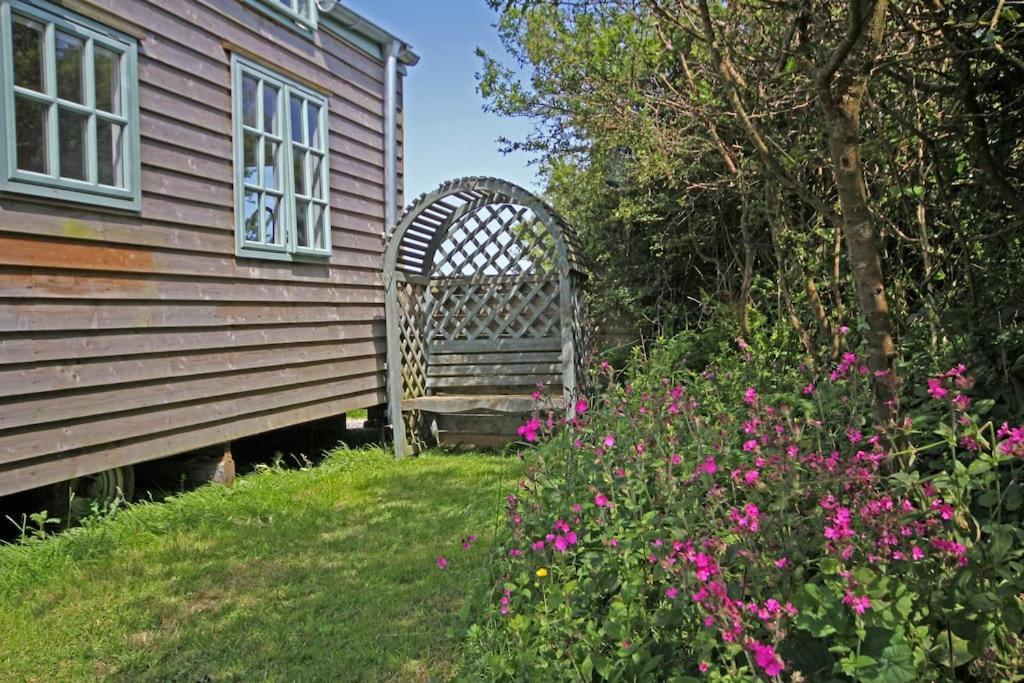 Tiny House On Isolated Farm By The Cornish Coast Villa Bude Buitenkant foto